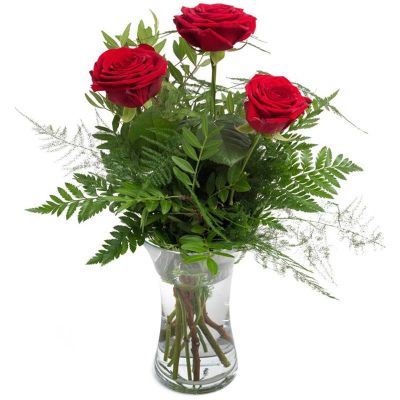 3 Czerwone Róże 40-60 cm
