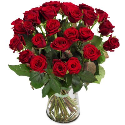 30 Czerwonych Róż 40-60 cm
